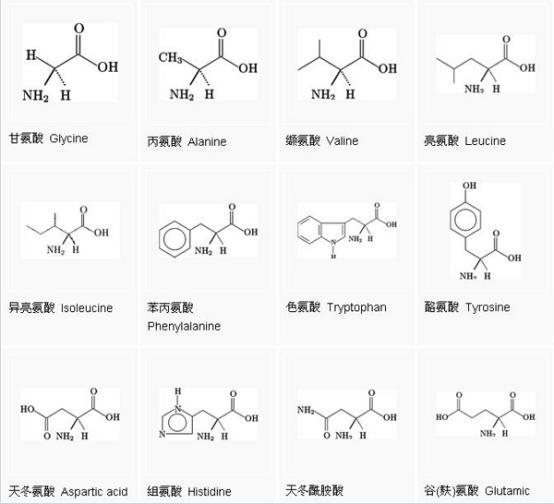 氨基酸在植物營養(yǎng)中的作用