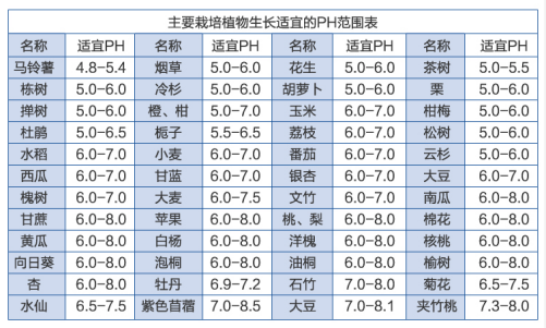 鍥劇墖9.png